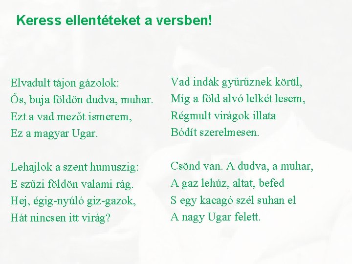 Keress ellentéteket a versben! Elvadult tájon gázolok: Ős, buja földön dudva, muhar. Ezt a