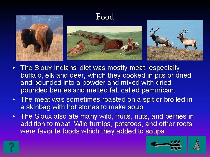 Food • The Sioux Indians' diet was mostly meat, especially buffalo, elk and deer,