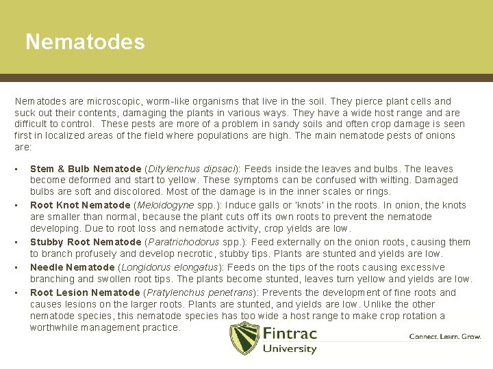 Nematodes are microscopic, worm-like organisms that live in the soil. They pierce plant cells
