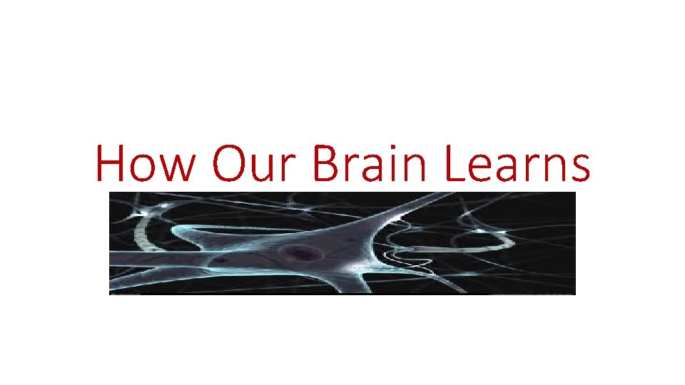 How Our Brain Learns 