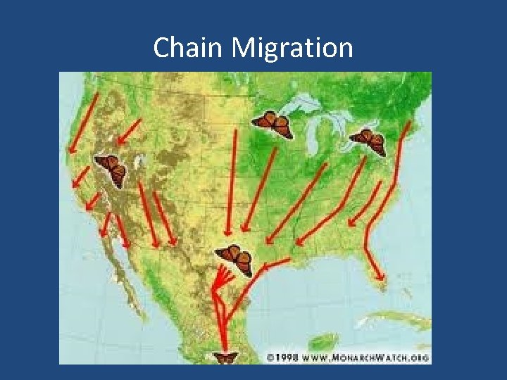 Chain Migration 