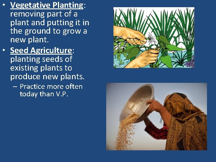  • Vegetative Planting: removing part of a plant and putting it in the