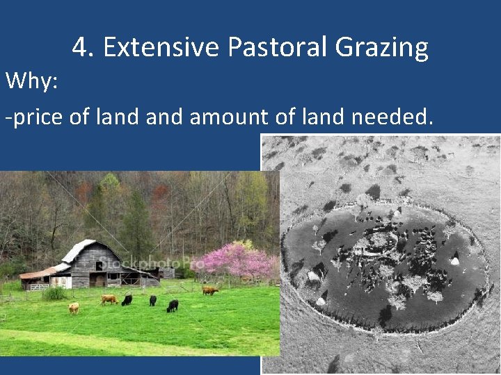 4. Extensive Pastoral Grazing Why: -price of land amount of land needed. 