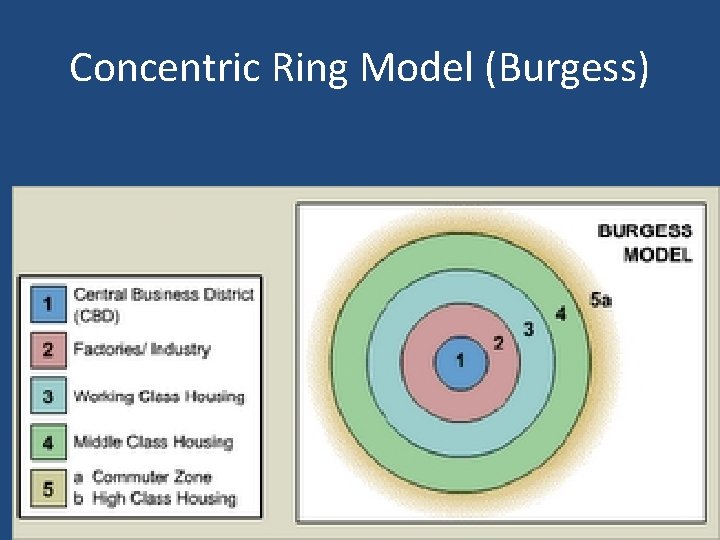 Concentric Ring Model (Burgess) 