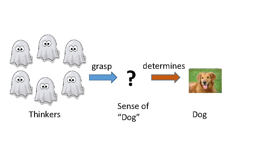 grasp Thinkers ? determines Sense of “Dog” Dog 