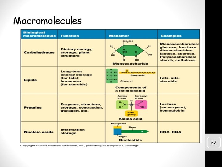 Biochemistry has become the foundation for understanding all