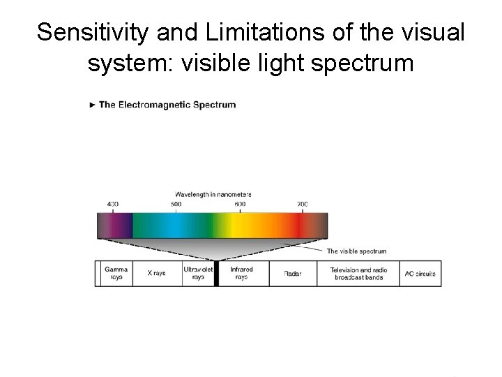 Sensitivity and Limitations of the visual system: visible light spectrum 