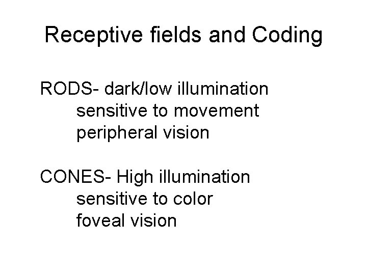 Receptive fields and Coding RODS- dark/low illumination sensitive to movement peripheral vision CONES- High