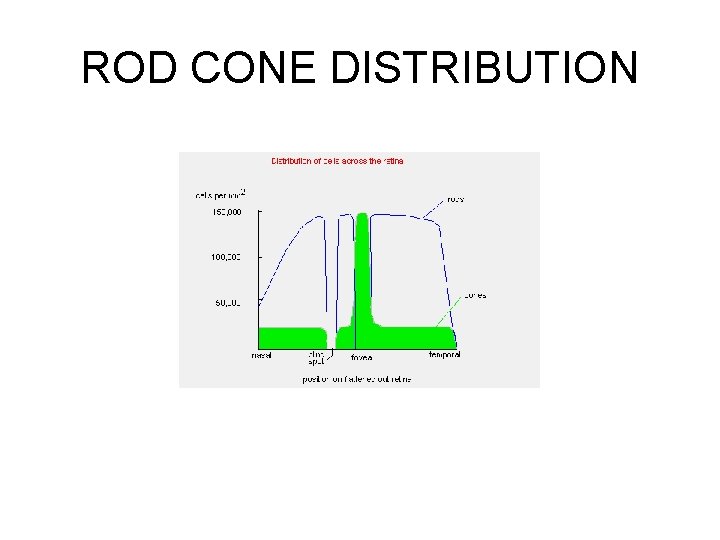 ROD CONE DISTRIBUTION 