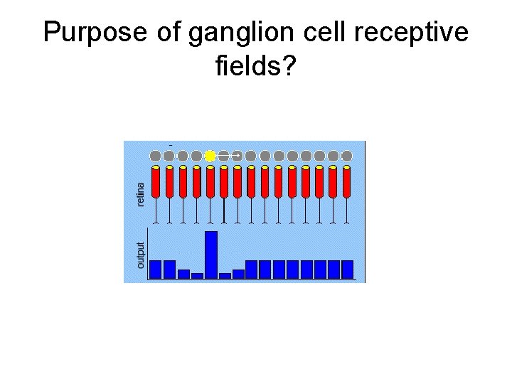 Purpose of ganglion cell receptive fields? 