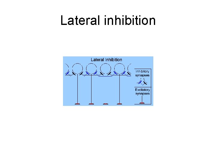 Lateral inhibition 