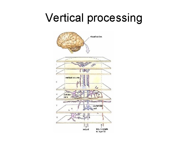 Vertical processing 