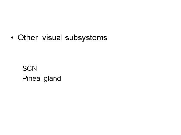  • Other visual subsystems -SCN -Pineal gland 