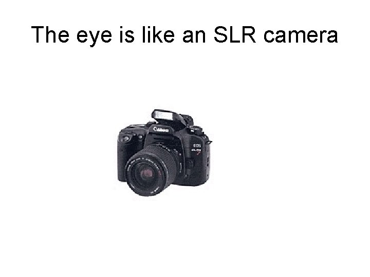 The eye is like an SLR camera 
