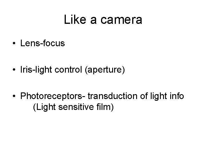 Like a camera • Lens-focus • Iris-light control (aperture) • Photoreceptors- transduction of light