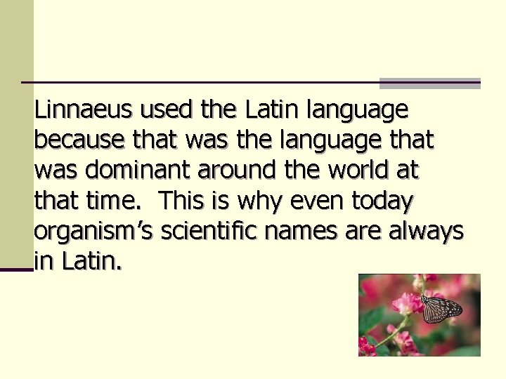 Linnaeus used the Latin language because that was the language that was dominant around