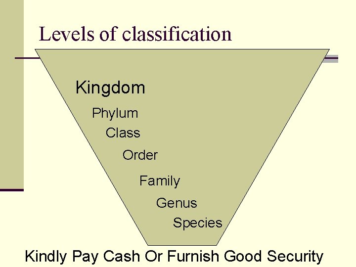 Levels of classification Kingdom Phylum Class Order Family Genus Species Kindly Pay Cash Or