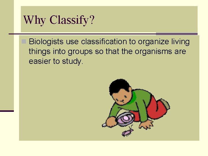 Why Classify? n Biologists use classification to organize living things into groups so that