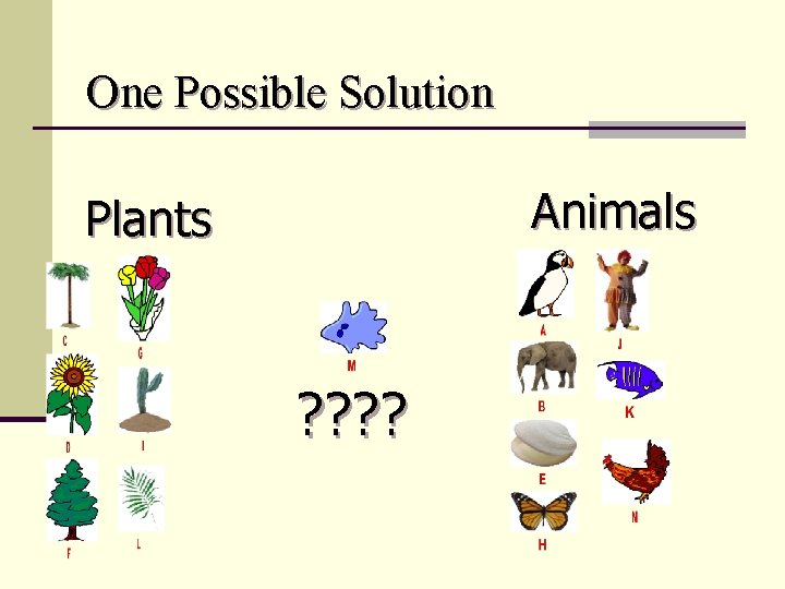 One Possible Solution Animals Plants ? ? 