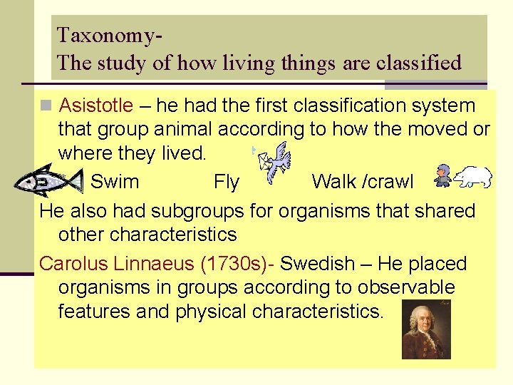 Taxonomy. The study of how living things are classified n Asistotle – he had