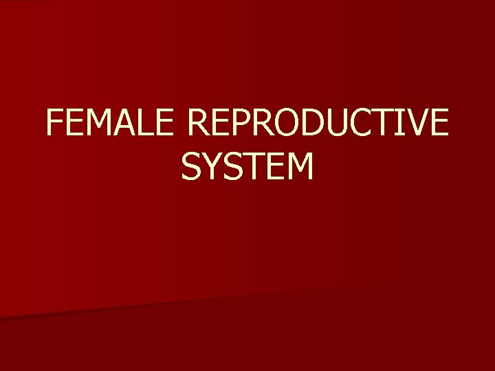 FEMALE REPRODUCTIVE SYSTEM 