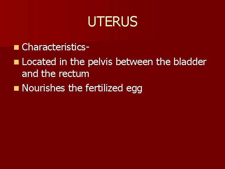 UTERUS n Characteristicsn Located in the pelvis between the bladder and the rectum n