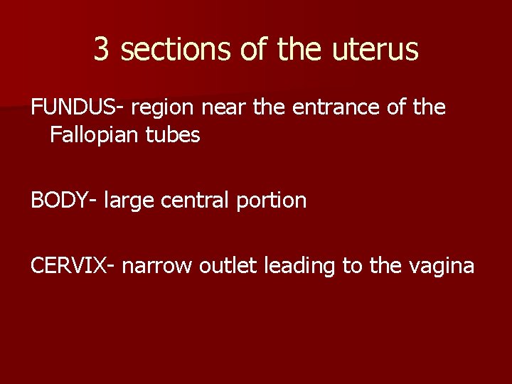 3 sections of the uterus FUNDUS- region near the entrance of the Fallopian tubes