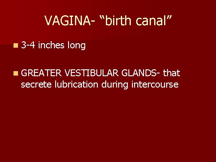 VAGINA- “birth canal” n 3 -4 inches long n GREATER VESTIBULAR GLANDS- that secrete