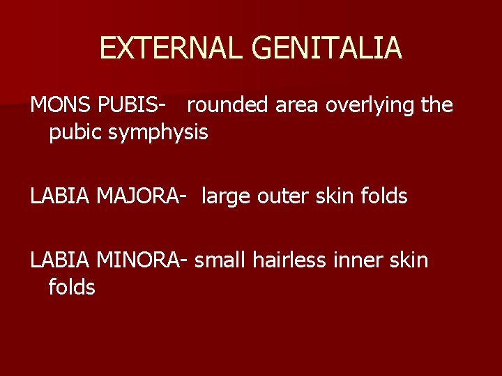 EXTERNAL GENITALIA MONS PUBIS- rounded area overlying the pubic symphysis LABIA MAJORA- large outer