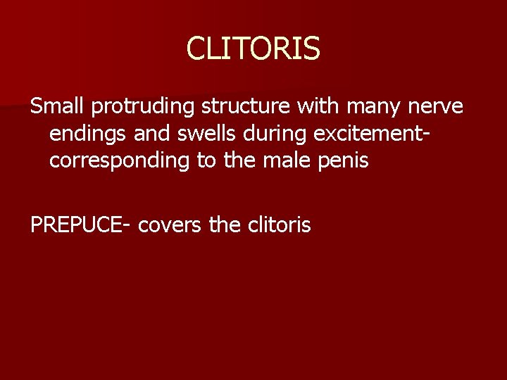 CLITORIS Small protruding structure with many nerve endings and swells during excitementcorresponding to the