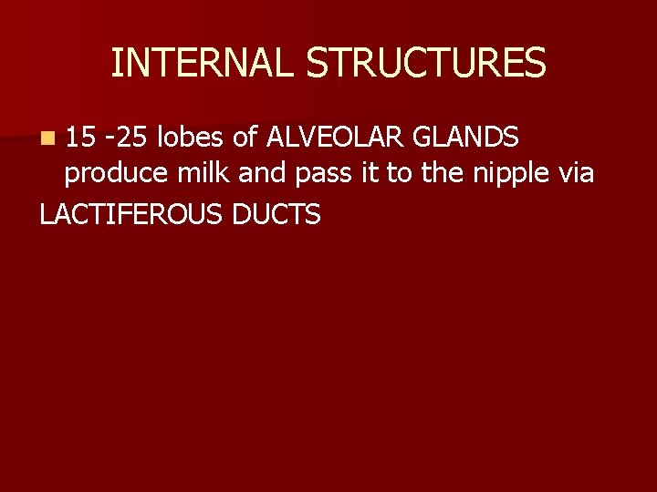 INTERNAL STRUCTURES n 15 -25 lobes of ALVEOLAR GLANDS produce milk and pass it