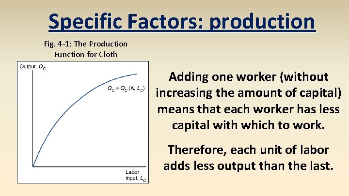 Specific Factors: production Fig. 4 -1: The Production Function for Cloth Adding one worker