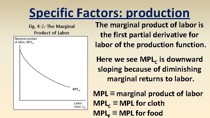 Specific Factors: production Fig. 4 -2: The Marginal Product of Labor The marginal product