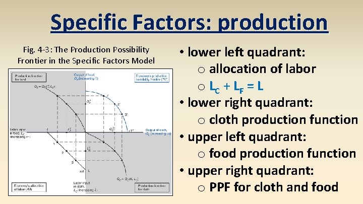 Specific Factors: production Fig. 4 -3: The Production Possibility Frontier in the Specific Factors