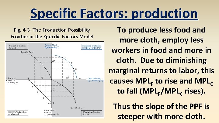 Specific Factors: production Fig. 4 -3: The Production Possibility Frontier in the Specific Factors