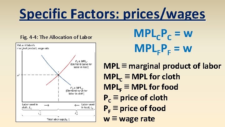 Specific Factors: prices/wages Fig. 4 -4: The Allocation of Labor MPLCPC = w MPLFPF