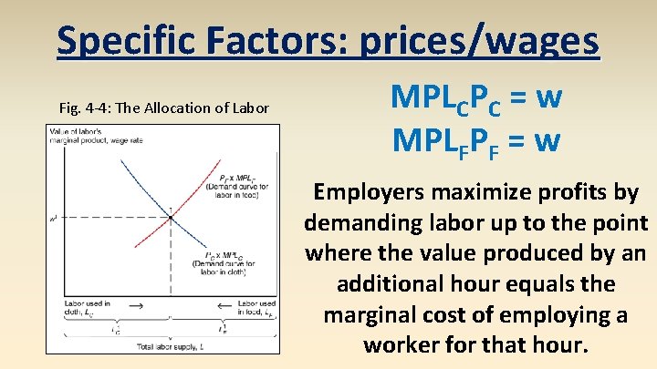 Specific Factors: prices/wages Fig. 4 -4: The Allocation of Labor MPLCPC = w MPLFPF