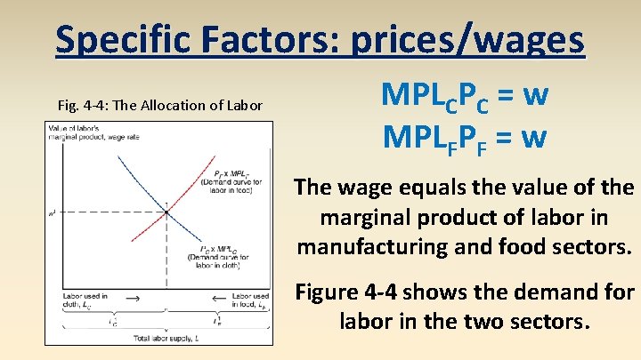 Specific Factors: prices/wages Fig. 4 -4: The Allocation of Labor MPLCPC = w MPLFPF