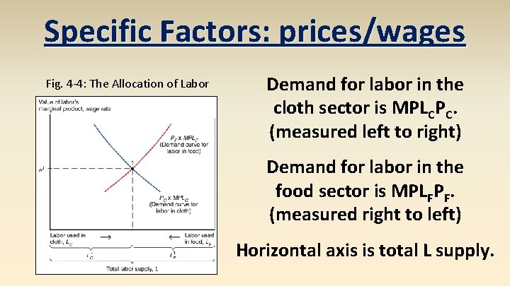 Specific Factors: prices/wages Fig. 4 -4: The Allocation of Labor Demand for labor in