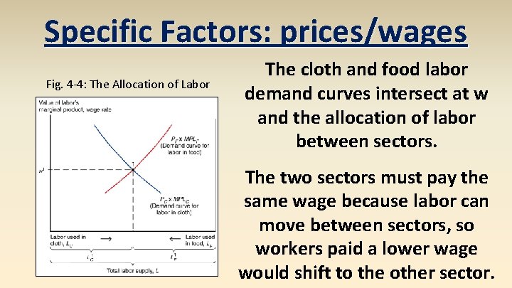 Specific Factors: prices/wages Fig. 4 -4: The Allocation of Labor The cloth and food