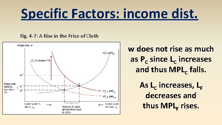 Specific Factors: income dist. Fig. 4 -7: A Rise in the Price of Cloth