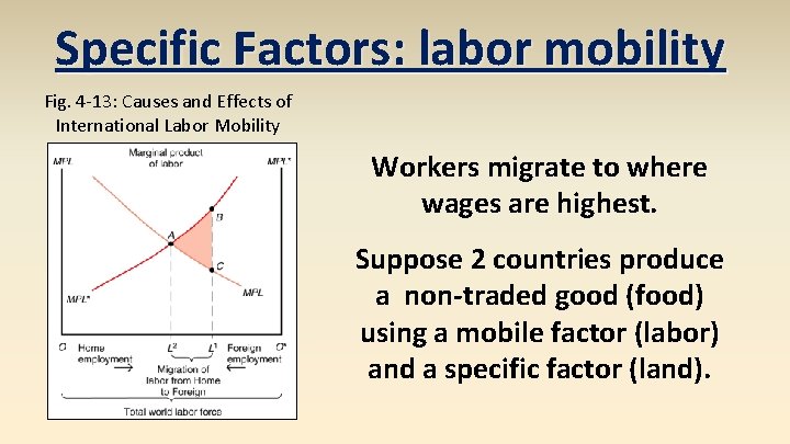 Specific Factors: labor mobility Fig. 4 -13: Causes and Effects of International Labor Mobility