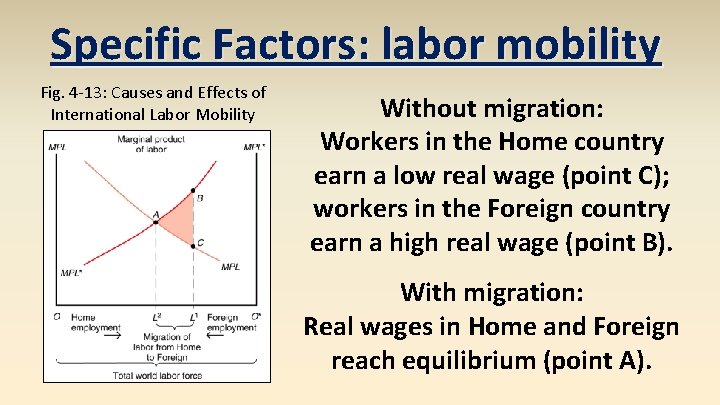 Specific Factors: labor mobility Fig. 4 -13: Causes and Effects of International Labor Mobility