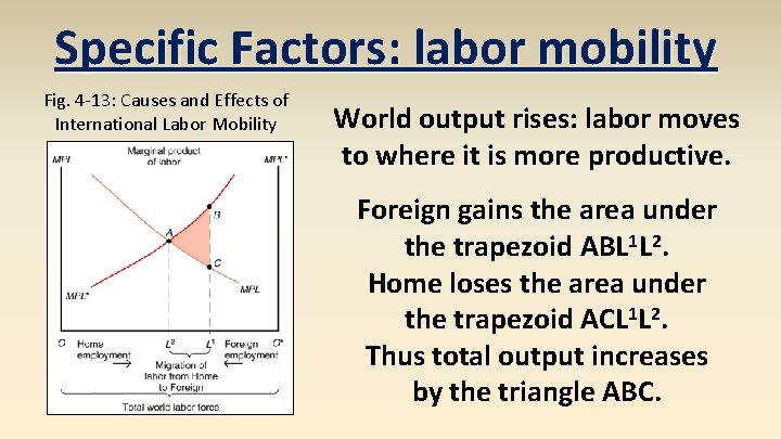 Specific Factors: labor mobility Fig. 4 -13: Causes and Effects of International Labor Mobility