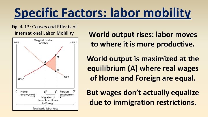 Specific Factors: labor mobility Fig. 4 -13: Causes and Effects of International Labor Mobility