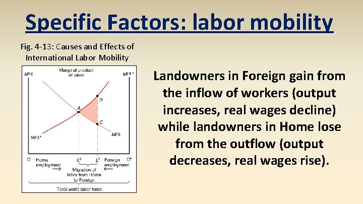 Specific Factors: labor mobility Fig. 4 -13: Causes and Effects of International Labor Mobility