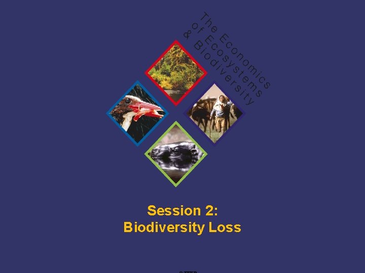 Session 2: Biodiversity Loss TEEB Training 