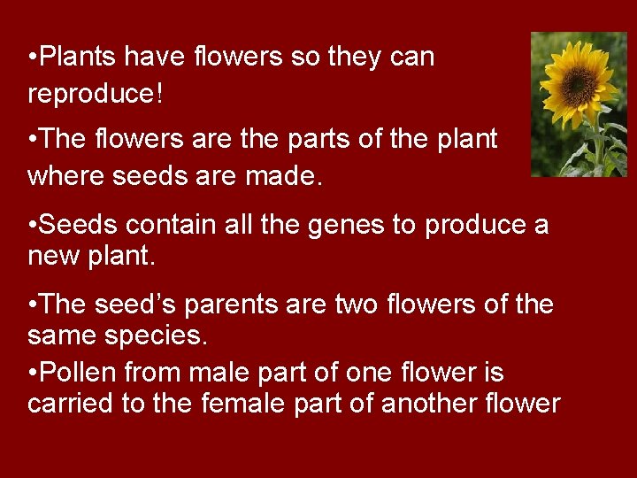  • Plants have flowers so they can reproduce! • The flowers are the