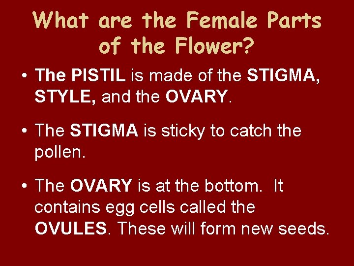 What are the Female Parts of the Flower? • The PISTIL is made of
