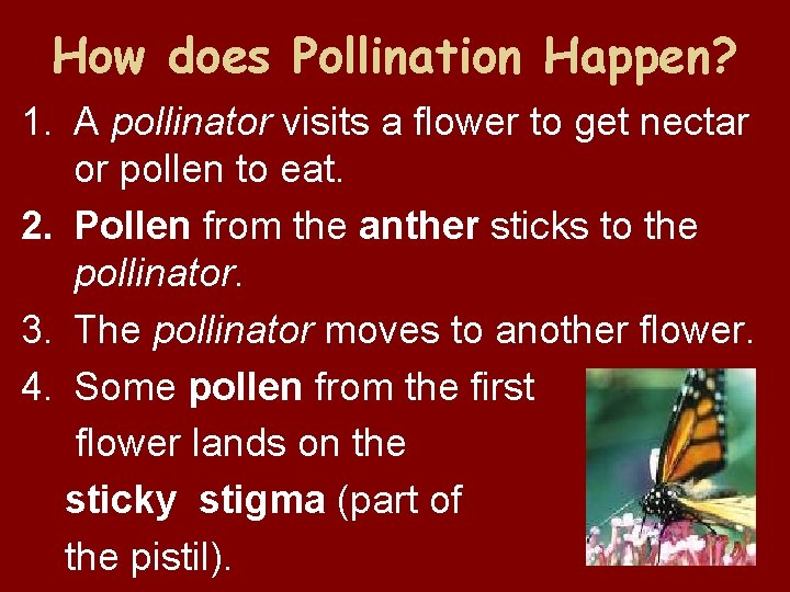 How does Pollination Happen? 1. A pollinator visits a flower to get nectar or